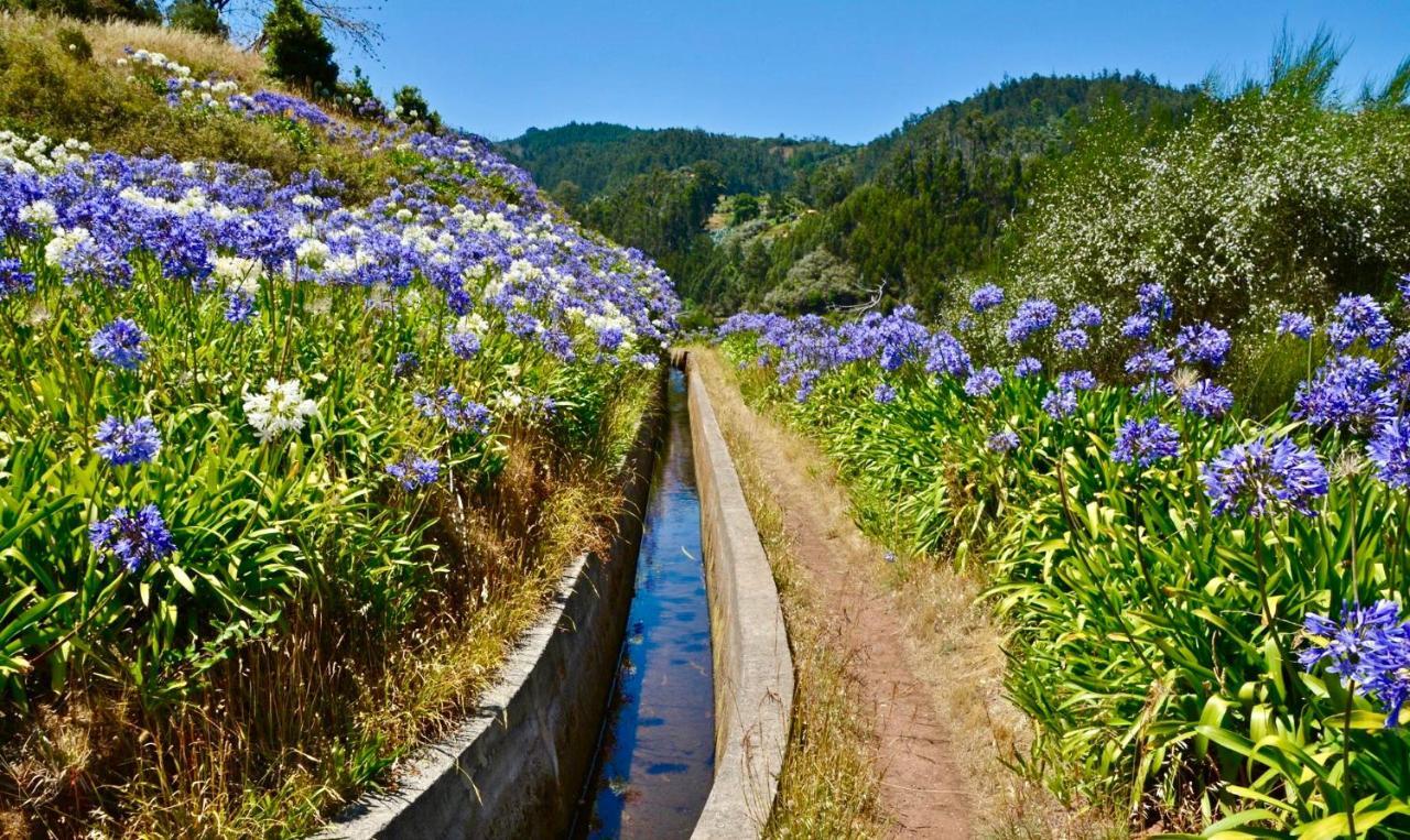 Apartamento Casa Da Relva Com Piscina Aquecida Interna Arco da Calheta  Exterior foto